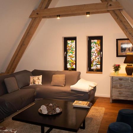 Apartmán La Tour Du Bois Fleuri Colmar Exteriér fotografie